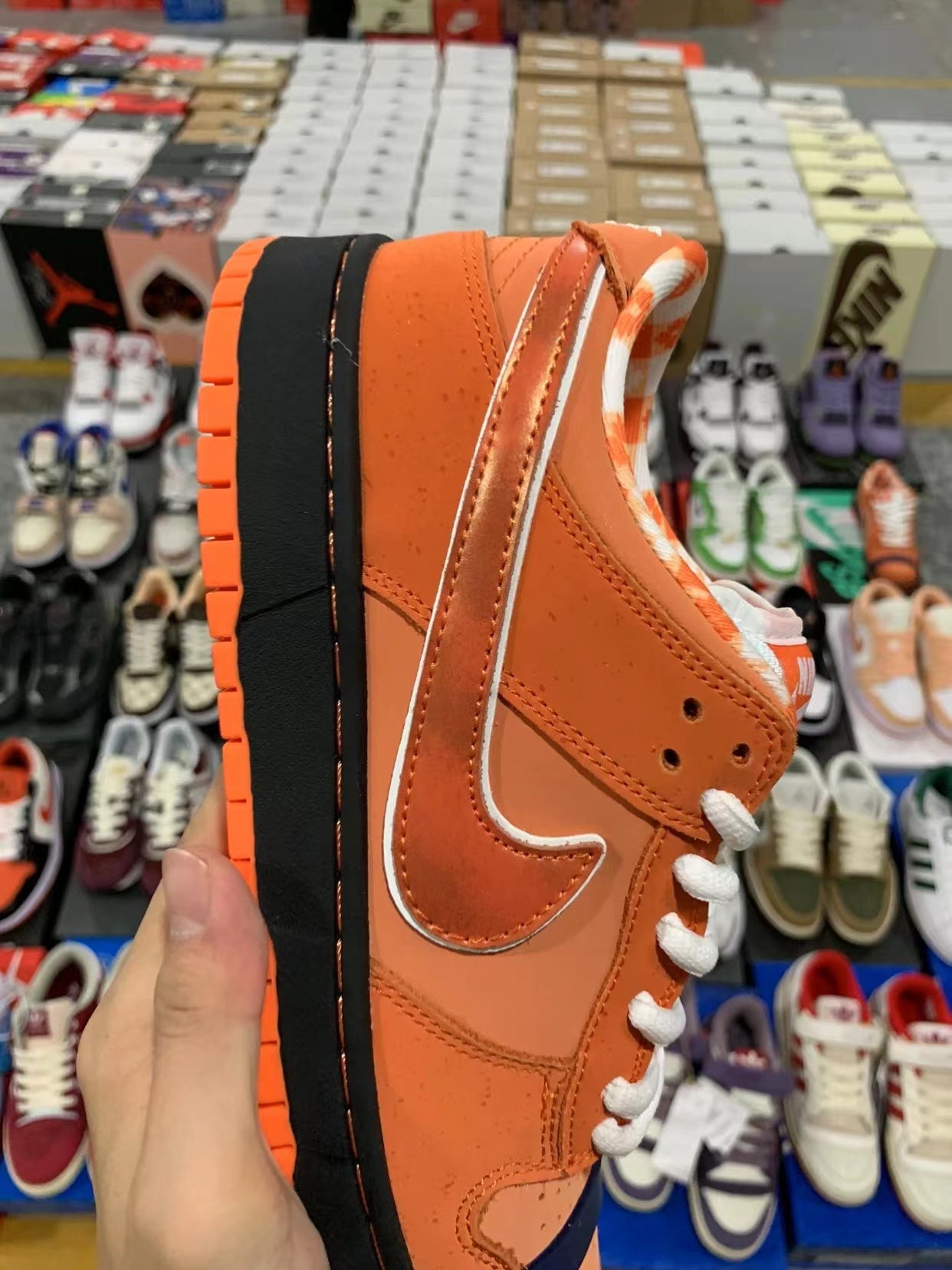 Nike Dunk SB Low "Orange Lobster"