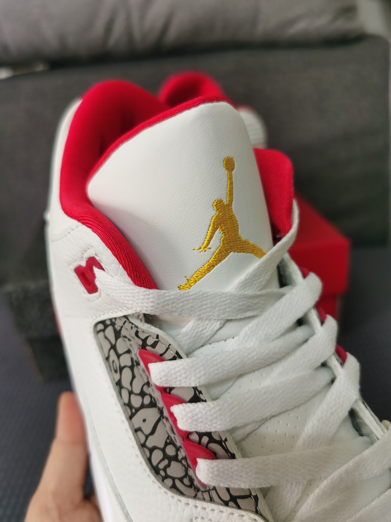 Air Jordan 3 Red Snake