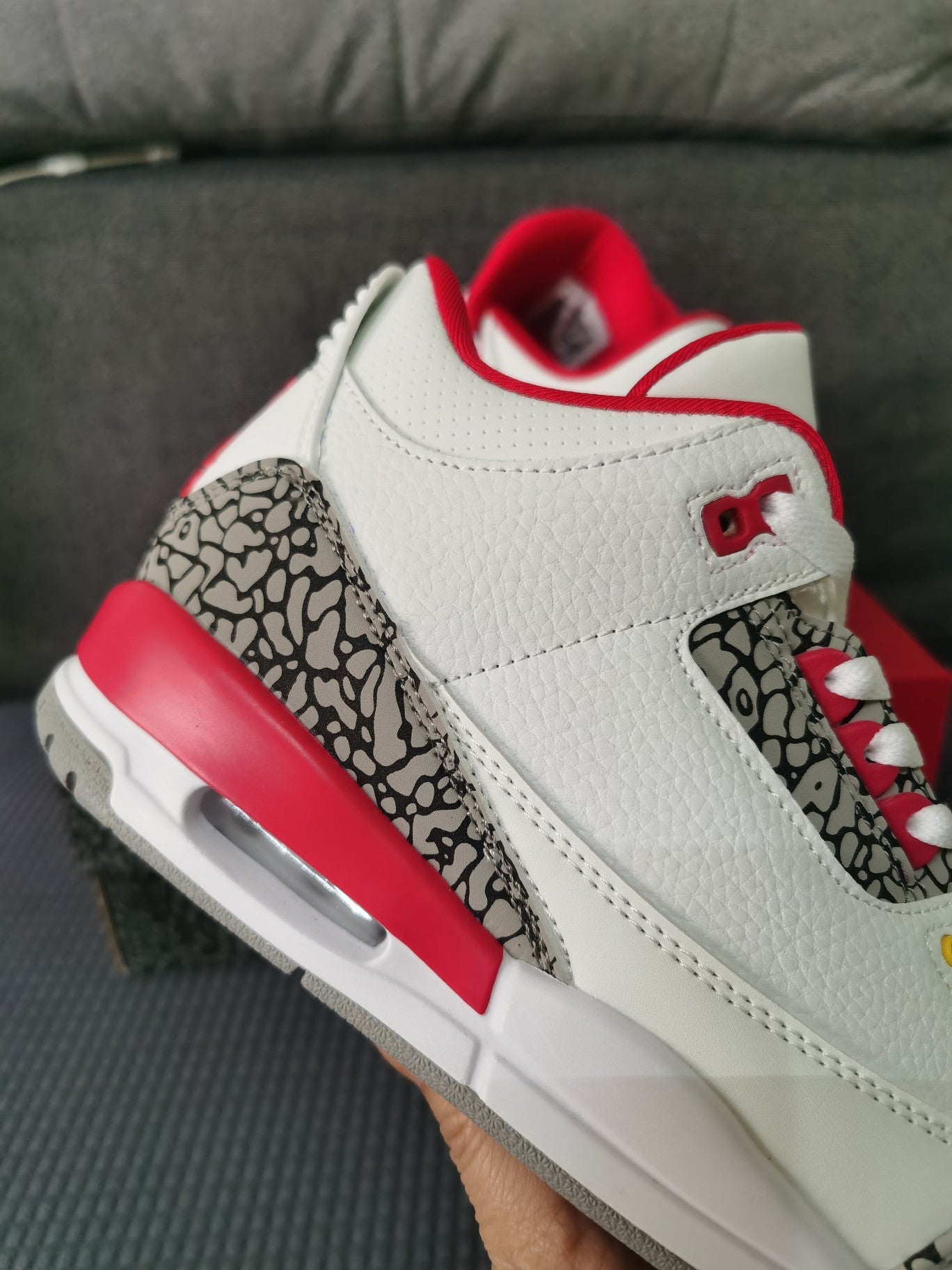 Air Jordan 3 Red Snake